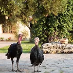 Frühstückspension La Chora Di 4*